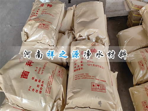 微生物菌種 微生物菌種